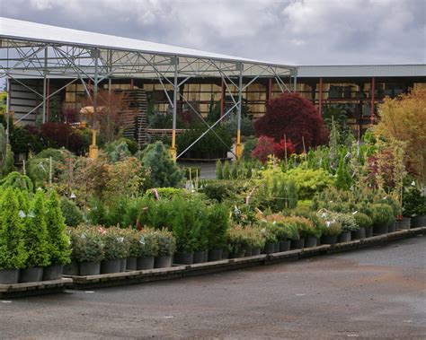 Andersons nursery - Friendly, knowledgeable and always welcoming, Walter Andersen Nursery offers customers a trusted, independently-owned local resource for your gardening and …